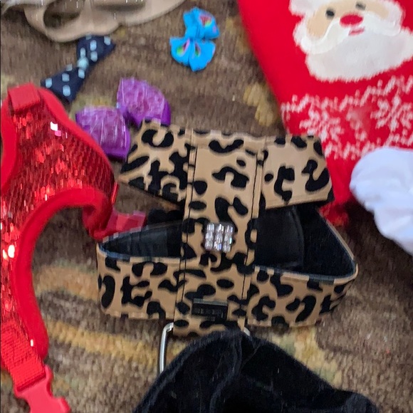 Dog halters and bows and dresses - Picture 2 of 8